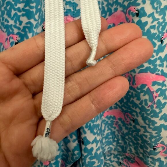 CHUBBIES The Domingos Are For Flamingos 5.5” Classic Swim Trunk Blue/Pink - Picture 3 of 10